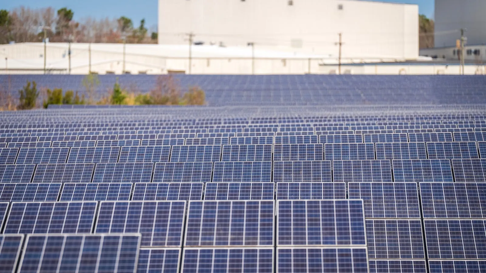 450W, 545W ve 615W panel sınıfları hangi projeye uygundur?